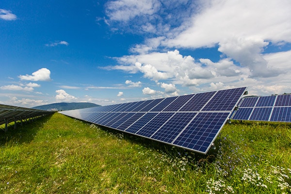 Security Protection at The Grange Solar Park