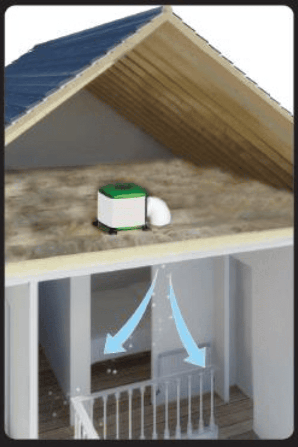 Mould Treatment