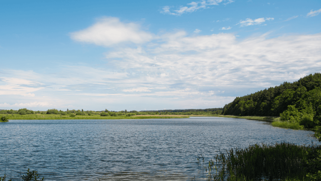 Keeping Wessex Water Secure with Annual Servicing and Upgrades