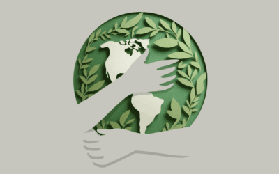 Driving Sustainability: Small Changes, Big Impact
